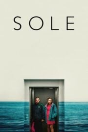 Güneş – Sole (2019) film özeti